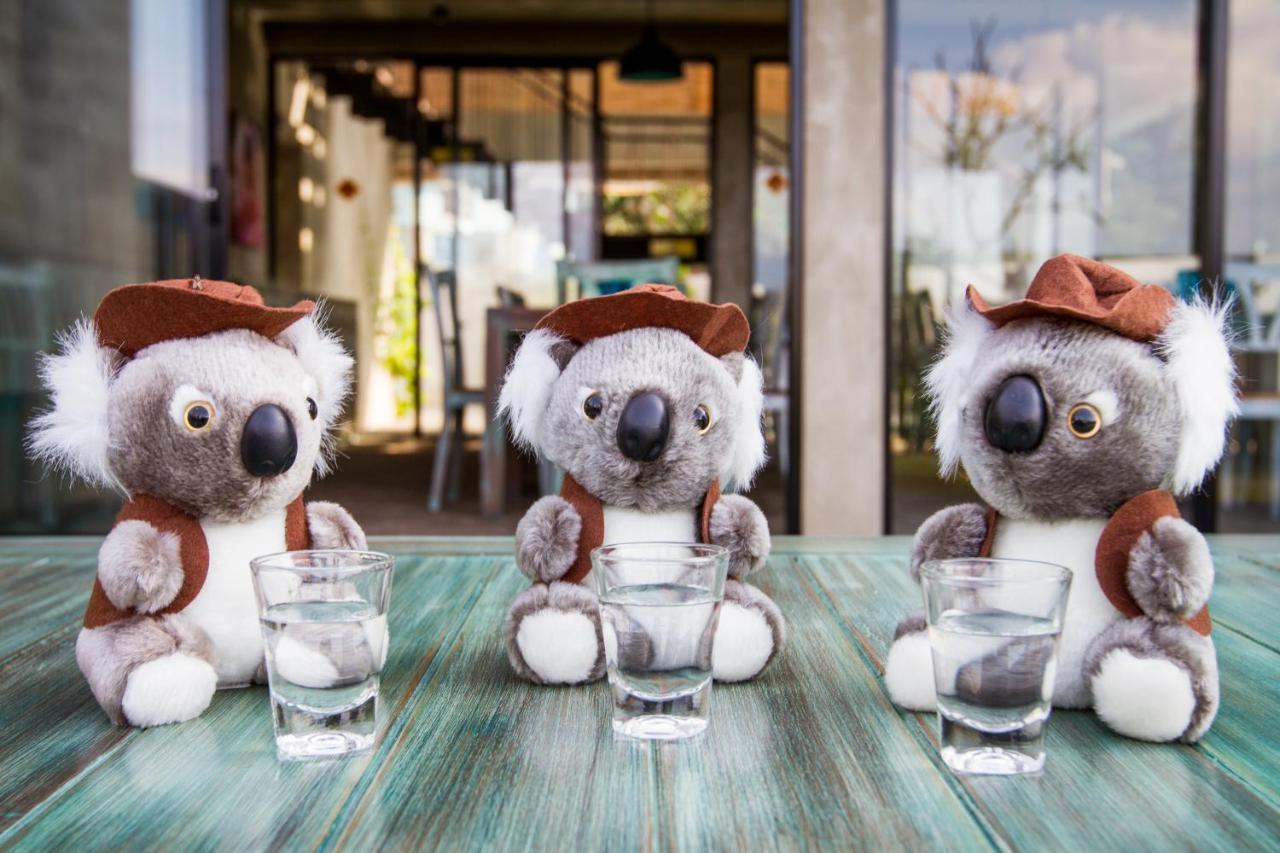 Lazy Koala (Adults Only) Hotell Hikkaduwa Exteriör bild